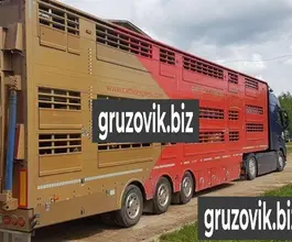 Бортовой Pezzaioli SBA32 2016 года б/у фото 2
