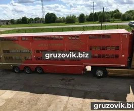 Скотовоз Pezzaioli SBA32 2016 года б/у