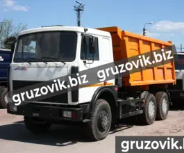Самосвал Самосвал  МАЗ 5516 2020 года новый фото 2
