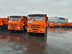 Самосвал Самосвал  Камаз 65201 2020 года новый фото 3