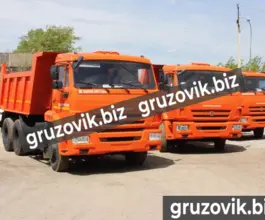 Самосвал Самосвал  Камаз 65115 2019 года новый фото 2