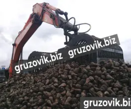 Грейфер Скелетный грейфер 2019 года б/у фото 3