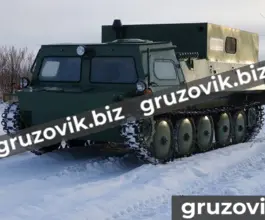 Грузопассажирский автомобиль ГАЗ 73 2019 года б/у фото 2