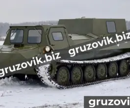 Грузопассажирский автомобиль МСГ 1 2020 года новый фото 2