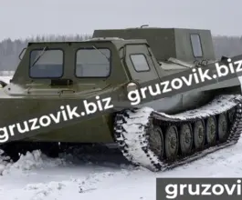 Грузопассажирский автомобиль МСГ 1 2020 года новый фото 3
