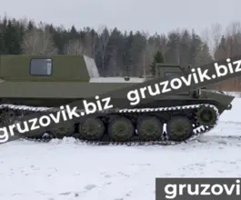 Грузопассажирский автомобиль МСГ 1 2020 года новый фото 5