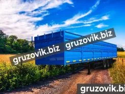 Полуприцеп-зерновоз Полуприцеп Зерновоз 3 оси - 2019 год выпуска 2019 года б/у