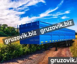 Полуприцеп-зерновоз Полуприцеп Зерновоз 3 оси - 2019 год выпуска 2019 года б/у