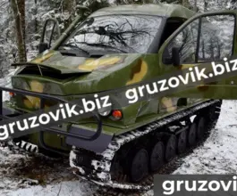 Грузопассажирский автомобиль ГАЗ 3409 2019 года б/у фото 2
