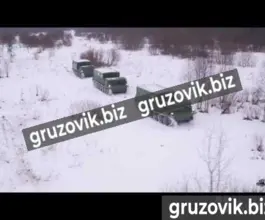 Грузопассажирский автомобиль ГАЗ 73 2019 года б/у