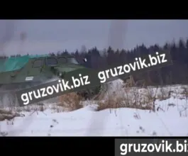 Грузопассажирский автомобиль Витязь гт-т 2020 года новый