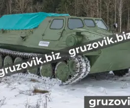Грузопассажирский автомобиль Витязь гт-т 2020 года новый фото 4