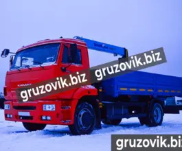 Самопогрузчик Камаз 43253 с КМУ ShinMaywa CD300 2011 года б/у