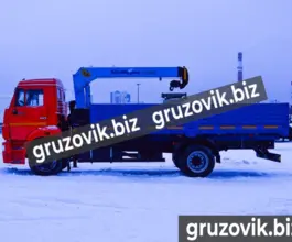 Самопогрузчик Камаз 43253 с КМУ ShinMaywa CD300 2011 года б/у фото 3