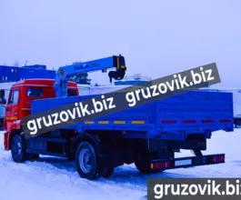 Самопогрузчик Камаз 43253 с КМУ ShinMaywa CD300 2011 года б/у фото 4