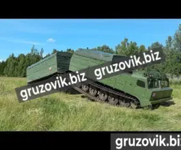 Грузопассажирский автомобиль Витязь дт-30п 2019 года б/у