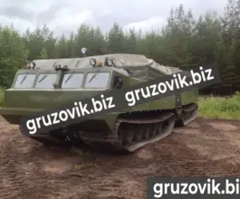 Грузопассажирский автомобиль Витязь дт-30п 2019 года б/у фото 2