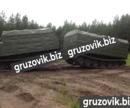 Грузопассажирский автомобиль Витязь дт-30п 2019 года б/у фото 3
