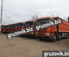 Самосвал Самосвал  Shacman SX3318DT366 2020 года новый фото 2