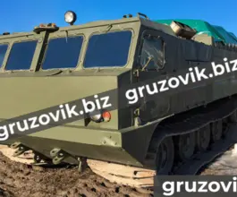 Грузопассажирский автомобиль Витязь дт-10п 2020 года новый фото 2