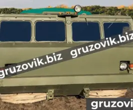 Грузопассажирский автомобиль Витязь дт-10п 2020 года новый фото 3