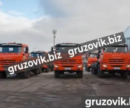 Тягач Седельный тягач Камаз 44108 2019 года новый фото 4