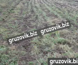 Почвообрабатывающая техника АПК 10.8 2020 года новый фото 5