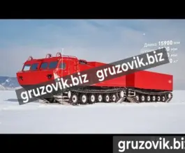Грузопассажирский автомобиль Витязь дт-30п 2017 года б/у