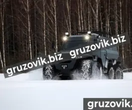 Грузопассажирский автомобиль ШАМАН X-TRIM 2020 года новый фото 2