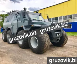 Грузопассажирский автомобиль ШАМАН X-TRIM 2020 года новый фото 4