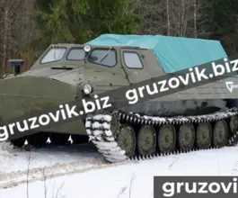 Грузопассажирский автомобиль Витязь гт-т 2019 года б/у фото 2
