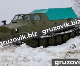 Грузопассажирский автомобиль Витязь гт-т 2019 года б/у фото 3