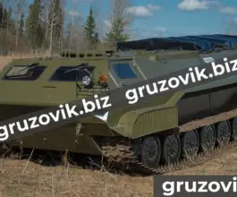Грузопассажирский автомобиль МСГ 2 2019 года б/у фото 2