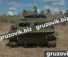 Грузопассажирский автомобиль МСГ 2 2019 года б/у фото 3