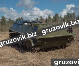 Грузопассажирский автомобиль МСГ 2 2019 года б/у фото 4