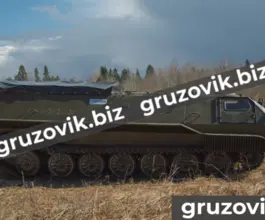 Грузопассажирский автомобиль МСГ 2 2019 года б/у фото 5