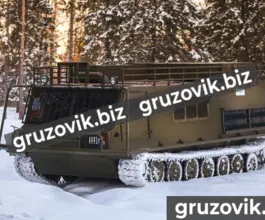 Грузопассажирский автомобиль МСГ 27 2019 года б/у фото 2