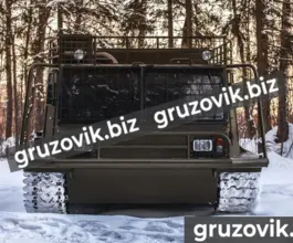 Грузопассажирский автомобиль МСГ 27 2019 года б/у фото 3