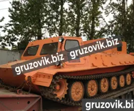 Грузопассажирский автомобиль МСГ 1 2019 года б/у фото 2