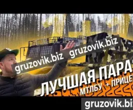 Грузопассажирский автомобиль МСГ 27 2019 года б/у