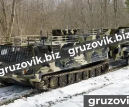 Грузопассажирский автомобиль МСГ 27 2019 года б/у фото 2
