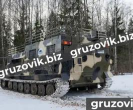 Грузопассажирский автомобиль МСГ 27 2019 года б/у фото 4