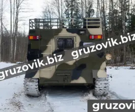 Грузопассажирский автомобиль МСГ 27 2019 года б/у фото 5