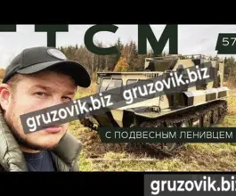 Грузопассажирский автомобиль МСГ 45 2019 года б/у