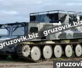 Грузопассажирский автомобиль МСГ 45 2019 года б/у фото 2