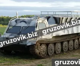 Грузопассажирский автомобиль МСГ 46 2020 года б/у фото 2