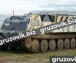 Грузопассажирский автомобиль МСГ 46 2020 года б/у фото 3