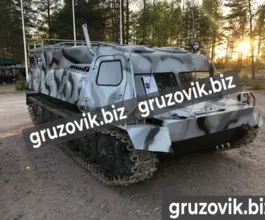 Грузопассажирский автомобиль МСГ 46 2019 года б/у фото 2