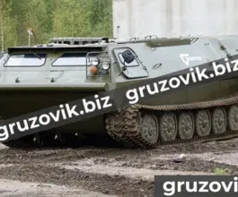 Грузопассажирский автомобиль МСГ 2 2019 года новый фото 2