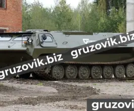 Грузопассажирский автомобиль МСГ 2 2019 года новый фото 3